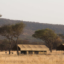 Tanzania-Serengeti NP-Serengeti Ndutu Kati Kati Tented Camp-tenten