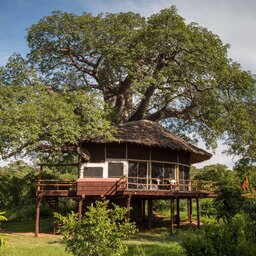 Tanzania-Tarangire-Elewana-Tarangire-Treetops 11