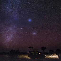 Tanzania-Tarangire-Elewana-Tarangire-Treetops-Night-Game-Drive