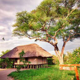 Tanzania-Tarangire-Mbali-Mbali-Tarangire-River-Camp-Safari-tent 3
