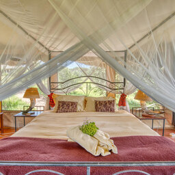 Tanzania-Tarangire-Mbali-Mbali-Tarangire-River-Camp-Safari-Tent-bed