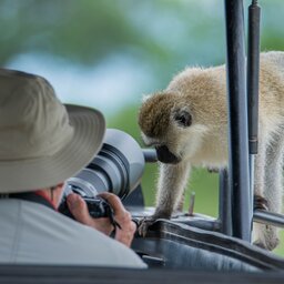 Tanzania-Tarangire NP-aap