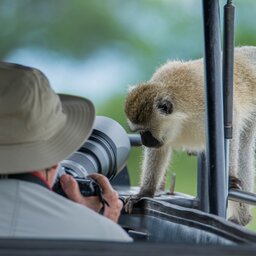 Tanzania-Tarangire NP-aap