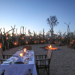 Tanzania-Tarangire-NP-Nimali-Tarangire-kampvuur-diner