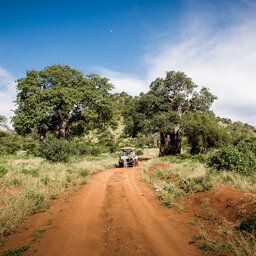 Tanzania-Tarangire-NP-Sanctuary-Swala-Camp-sfeerbeeld-safari