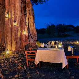 Tanzania-Tarangire-NP-Tarangire-Kuro-Treetops-Lodge-romantisch-bush-diner