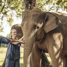 Thailand - Chiang Rai - Anantara Golden Triangle Elephant Camp & Resort (7)