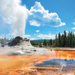 USA-Algemeen-Yellowstone-3