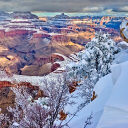 Verenigde staten - USA - VS - Arizona - Grand Canyon (6)