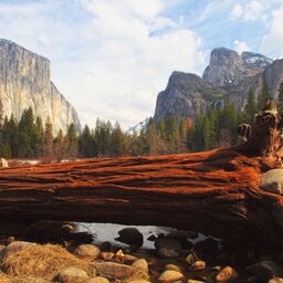 Verenigde staten - USA - VS - Californië -Yosemite National Park (5)