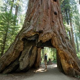 Verenigde staten - USA - VS - Californië -Yosemite National Park (7)