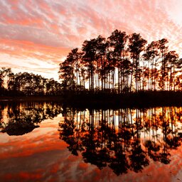 Verenigde staten - USA - VS - Everglades National Park (6)
