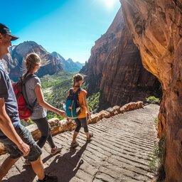 Verenigde staten - USA - VS - Utah - Zion National Park (7)