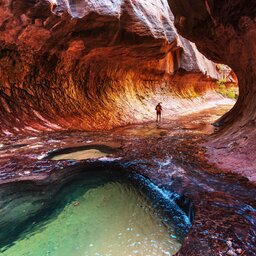 Verenigde staten - USA - VS - Utah - Zion National Park (8)