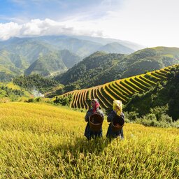 Vietnam-algemeen-rijstvelden en volk