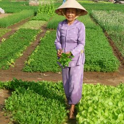 Vietnam-Hoi An-Excursie-From-Farming-To-Fishing-experience-day-trip-1