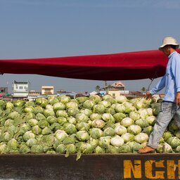 Vietnam-Mekong Delta-drijvende markt