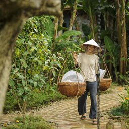 Vietnam-Ninh-Binh-Tam-Coc-Garden-Resort-tuin-2