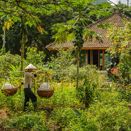 Vietnam-Ninh Binh-Tam Coc Garden10