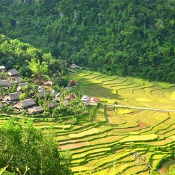 Vietnam-Pu-Luong-Puluong-Nature-Resort-luchtfoto-enkel-redactioneel-gebruik