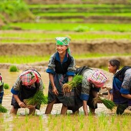 Vietnam-Sapa-Bouwsteen-Colourful-Ethnic-Culture-Sapa-4