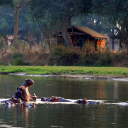Zambia-Lower-Zambezi-Chongwe-River-Camp-visitors