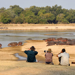 Zambia-South Luangwa-bush walk2