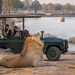 Zambia-South Luangwa-game drive