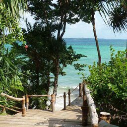 Zanzibar-Fundu Lagoon Pemba Island-wandelpad-naar-strand