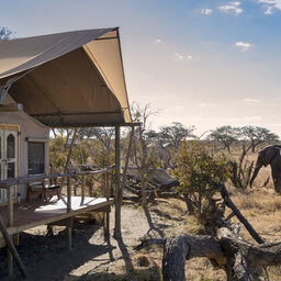 Zimbabwe-Hwangwe-National-Park-Somalisa-Expeditions-tent