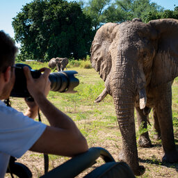 Zimbabwe-Mana Pools National Park-Nyamatusi-olifant-camera