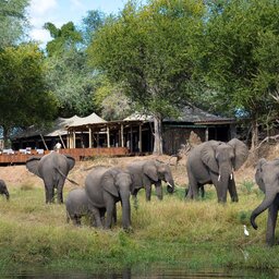 Zimbabwe-Mana-Pools-National-park-Ruckomechi-Camp-visitors