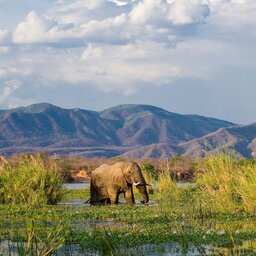 Zimbabwe-Zambezi-National-Park-lanschap