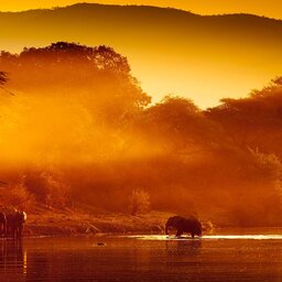 Zimbabwe-Zambezi-National-Park-sunset