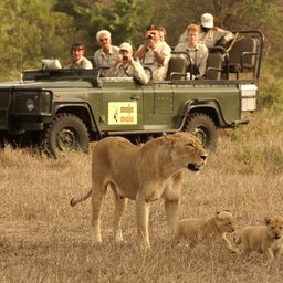 Zuid-Afrika-algemeen-game drive2