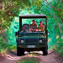 Zuid-Afrika-algemeen-koppel tijdens game drive