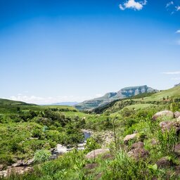 Zuid-Afrika-Drakensbergen-Montusi-Mountain-Lodge-omgeving-2JPG