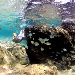 Zuid-Afrika-iSimangaliso-Wetland-thonga-beach-lodge-snorkelen