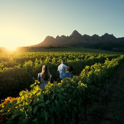 Zuid-Afrika-Kaapse-Wijnlanden-streek-5-koppel