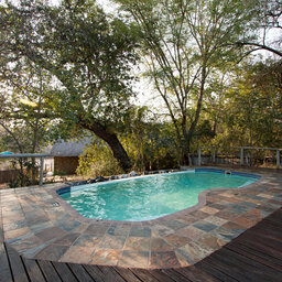 Zuid-Afrika-Kruger-Rhino-Post-Safari-Lodge-zwembad
