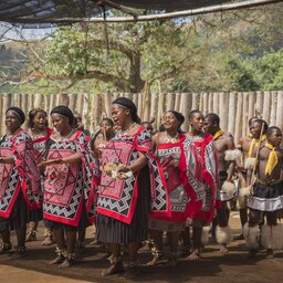 Zuid-Afrika-Swaziland-hoogtepunt-dansend volk