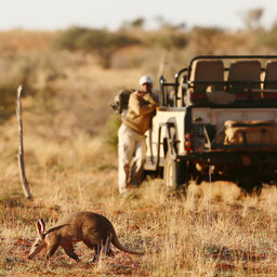 Zuid-Afrika-Tswalu-Kalahari-Private-reserve-the-motse-safarilodge-wetu-safari-2