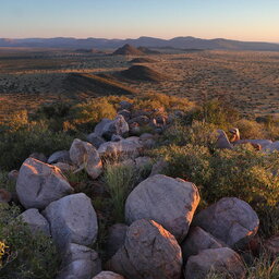 Zuid-Afrika-Tswalu-Kalahari-streek-hotel-Motse-wetu-8