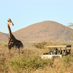 Zuid-Afrika-Tswalu-Kalahari-streek-hotel-Motse-wetu-gamedrive-7