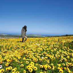 Zuid-Afrika-West-Coast-NP-streek-1