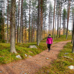 Zweden-Lapland-Arctic-Retreat-zomer-hiken