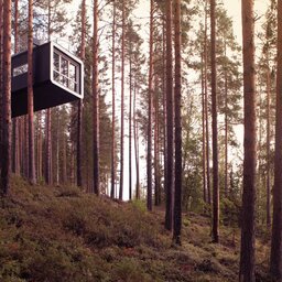 Zweden-Lapland-Harads-cabin-zomer-2