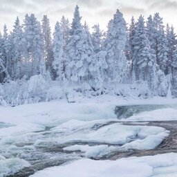 Zweden-Lapland-Harads-Loggers-Lodge-omgeving-bevroren-rivier