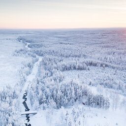 Zweden-Lapland-Harads-Loggers-Lodge-omgeving-cabin-luchtfoto