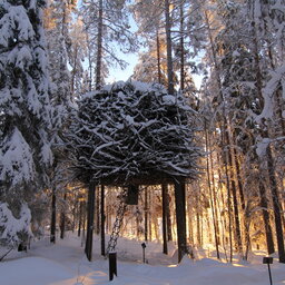 Zweden-Lapland-Harads-treehotel-johan-jansson-birds-nestJPG